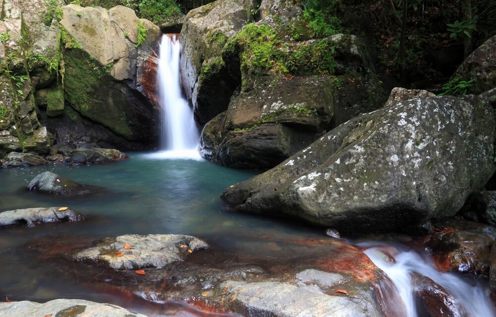 El Yunque