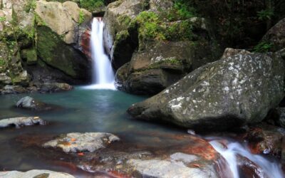 El Yunque