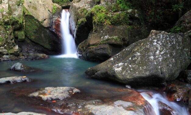 El Yunque