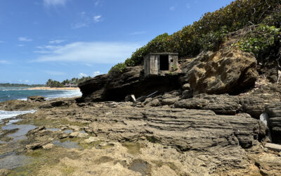 Exploring History: World War I Relics at Piñones Beach, Puerto Rico