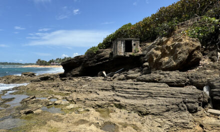 Exploring History: World War I Relics at Piñones Beach, Puerto Rico